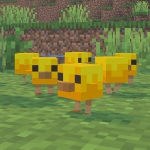 G-FOkR3XsAIw7py