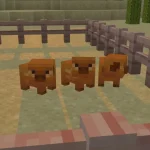minecraft-have-changed-the-way-baby-mobs-look-v0-dn1fgnbkbybg1